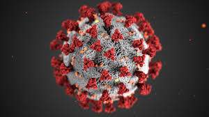 Epic corona virus journeys to home